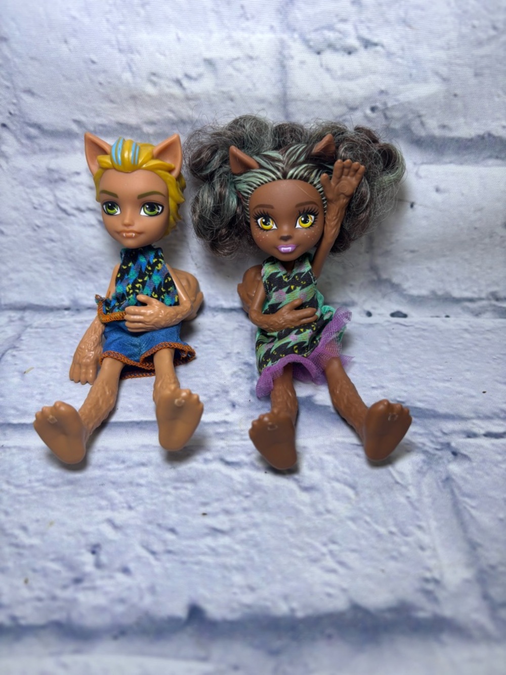 Monster High Pawla Wolf Doll And Barker Wolf Don Monster High Family